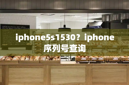 iphone5s1530？iphone序列号查询