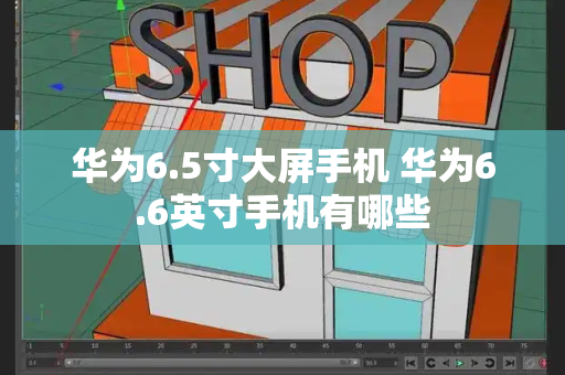 华为6.5寸大屏手机 华为6.6英寸手机有哪些-第1张图片-星选测评