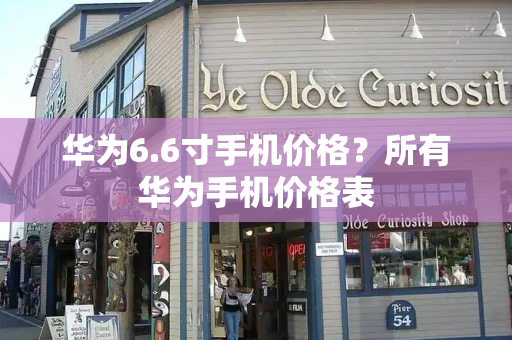 华为6.6寸手机价格？所有华为手机价格表-第1张图片-星选测评