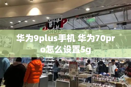 华为9plus手机 华为70pro怎么设置5g-第1张图片-星选测评