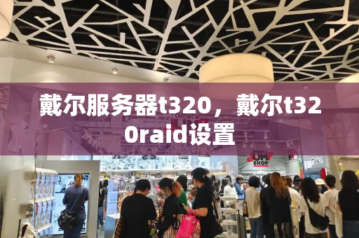 戴尔服务器t320，戴尔t320raid设置