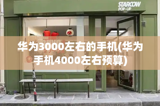 华为3000左右的手机(华为手机4000左右预算)-第1张图片-星选测评