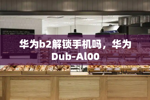 华为b2解锁手机吗，华为Dub-Al00-第1张图片-星选测评