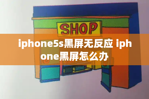 iphone5s黑屏无反应 iphone黑屏怎么办-第1张图片-星选测评