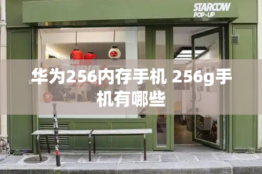 华为256内存手机 256g手机有哪些-第1张图片-星选测评