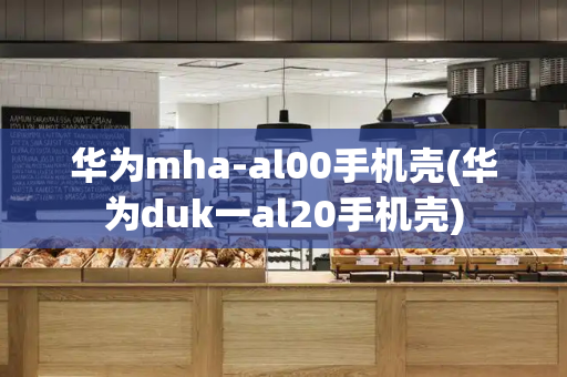 华为mha-al00手机壳(华为duk一al20手机壳)