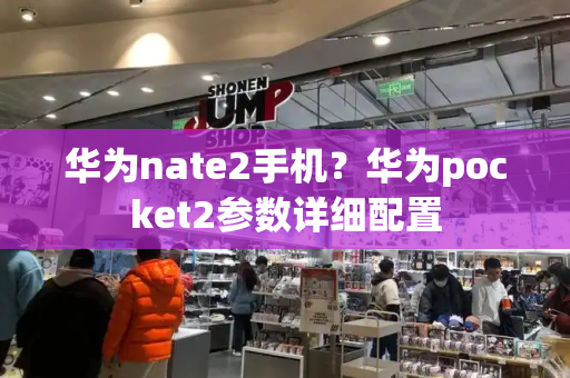 华为nate2手机？华为pocket2参数详细配置-第1张图片-星选测评