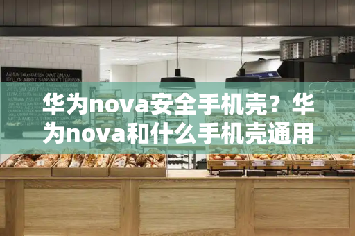 华为nova安全手机壳？华为nova和什么手机壳通用-第1张图片-星选测评