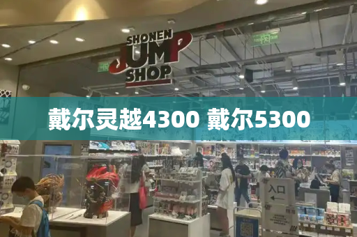 戴尔灵越4300 戴尔5300