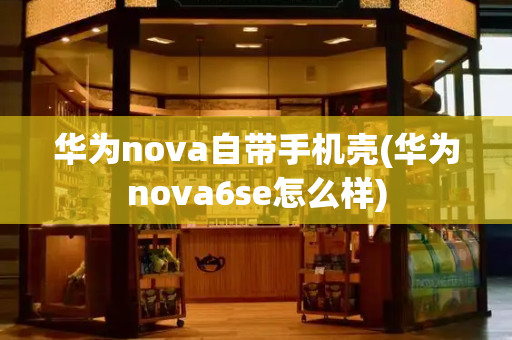 华为nova自带手机壳(华为nova6se怎么样)-第1张图片-星选测评