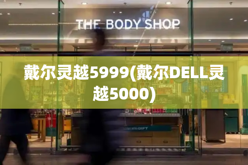 戴尔灵越5999(戴尔DELL灵越5000)