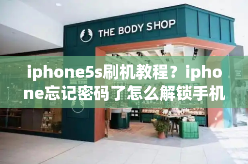 iphone5s刷机教程？iphone忘记密码了怎么解锁手机-第1张图片-星选测评