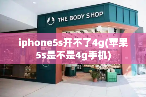 iphone5s开不了4g(苹果5s是不是4g手机)