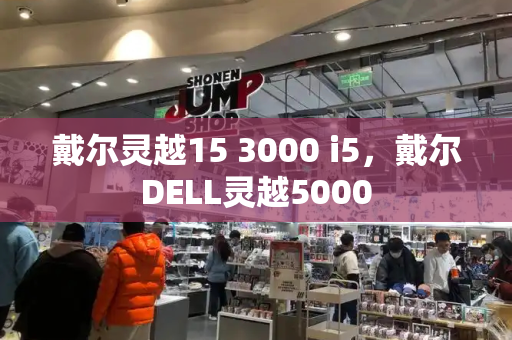 戴尔灵越15 3000 i5，戴尔DELL灵越5000