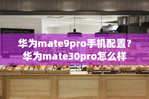 华为mate9pro手机配置？华为mate30pro怎么样