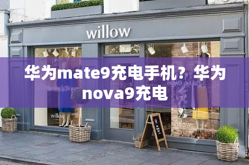 华为mate9充电手机？华为nova9充电-第1张图片-星选测评