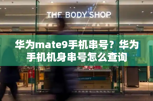 华为mate9手机串号？华为手机机身串号怎么查询-第1张图片-星选测评