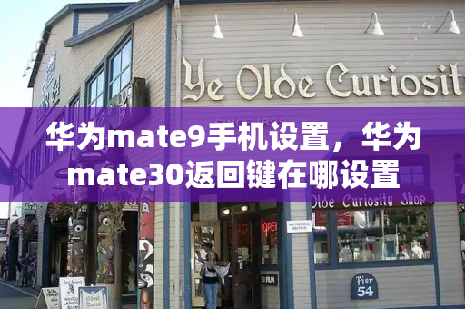 华为mate9手机设置，华为mate30返回键在哪设置-第1张图片-星选测评