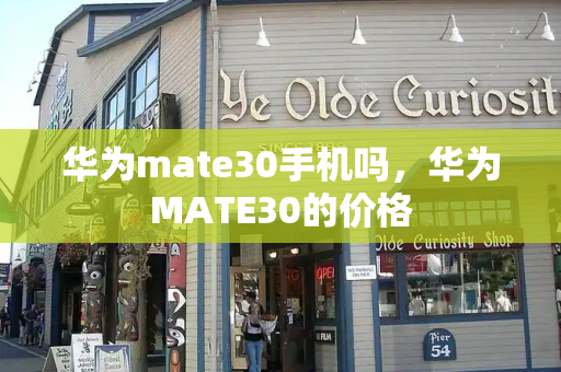 华为mate30手机吗，华为MATE30的价格