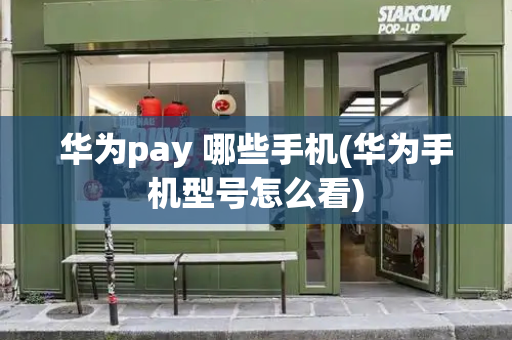 华为pay 哪些手机(华为手机型号怎么看)-第1张图片-星选测评