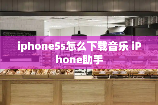 iphone5s怎么下载音乐 iPhone助手-第1张图片-星选测评