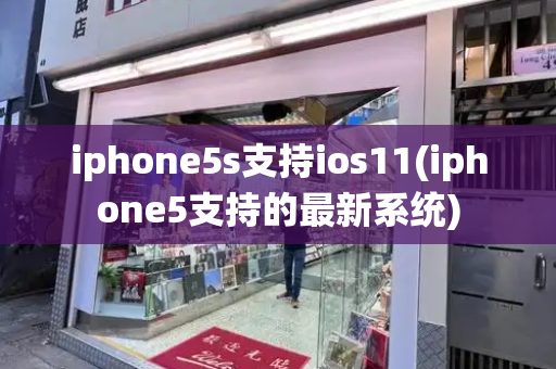 iphone5s支持ios11(iphone5支持的最新系统)