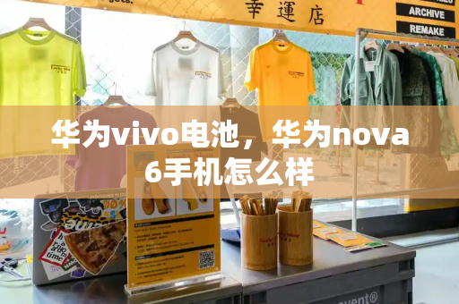 华为vivo电池，华为nova6手机怎么样-第1张图片-星选测评