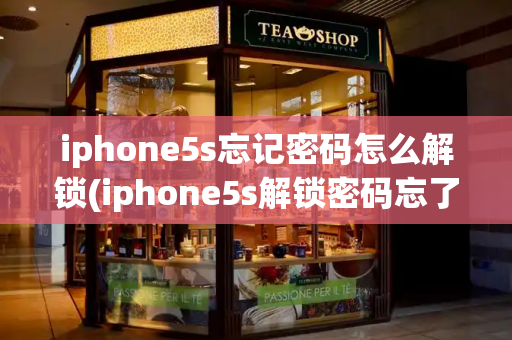 iphone5s忘记密码怎么解锁(iphone5s解锁密码忘了,如何解锁)-第1张图片-星选测评