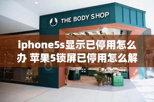 iphone5s显示已停用怎么办 苹果5锁屏已停用怎么解锁