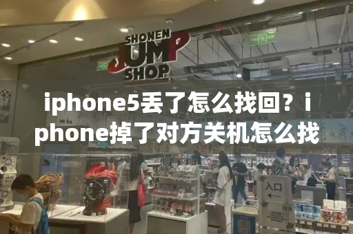 iphone5丢了怎么找回？iphone掉了对方关机怎么找回-第1张图片-星选测评