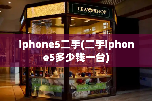 iphone5二手(二手iphone5多少钱一台)