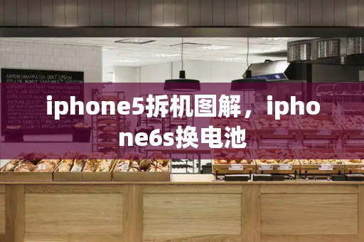 iphone5拆机图解，iphone6s换电池