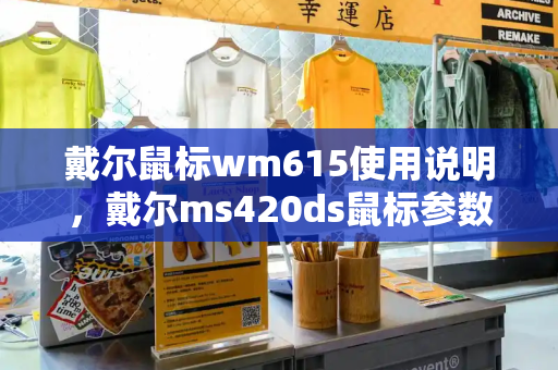 戴尔鼠标wm615使用说明，戴尔ms420ds鼠标参数-第1张图片-星选值得买