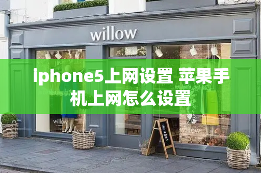 iphone5上网设置 苹果手机上网怎么设置