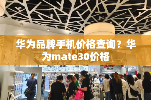 华为品牌手机价格查询？华为mate30价格-第1张图片-星选测评