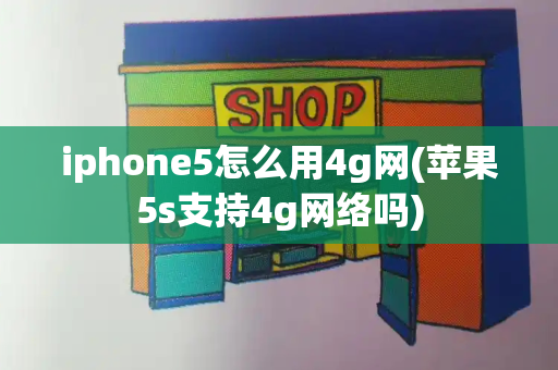 iphone5怎么用4g网(苹果5s支持4g网络吗)