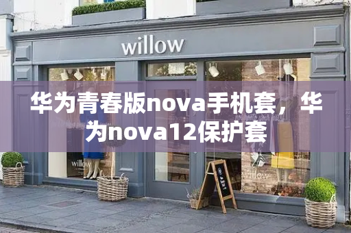 华为青春版nova手机套，华为nova12保护套