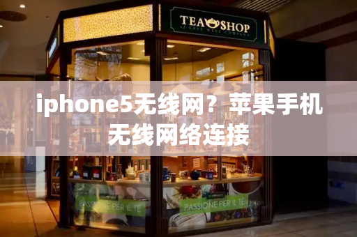 iphone5无线网？苹果手机无线网络连接