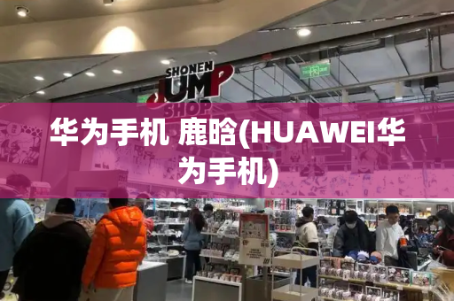 华为手机 鹿晗(HUAWEI华为手机)