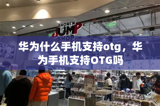 华为什么手机支持otg，华为手机支持OTG吗