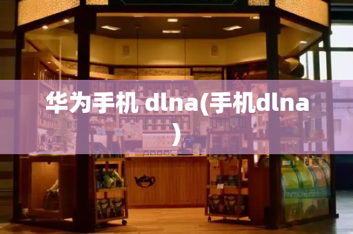 华为手机 dlna(手机dlna)