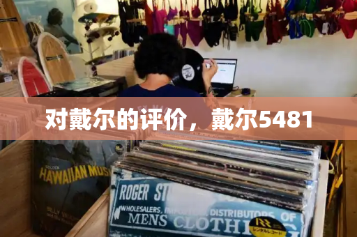 对戴尔的评价，戴尔5481