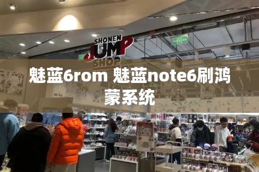 魅蓝6rom 魅蓝note6刷鸿蒙系统-第1张图片-星选测评