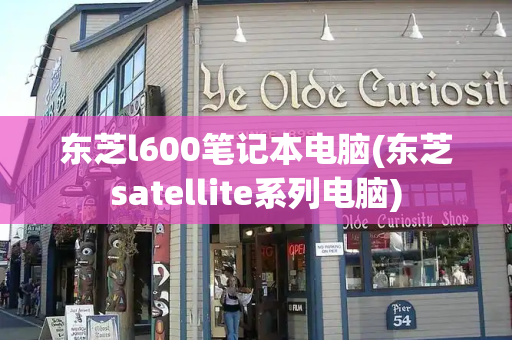 东芝l600笔记本电脑(东芝satellite系列电脑)