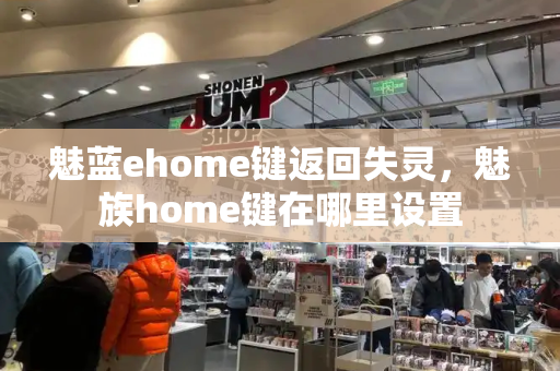 魅蓝ehome键返回失灵，魅族home键在哪里设置-第1张图片-星选测评