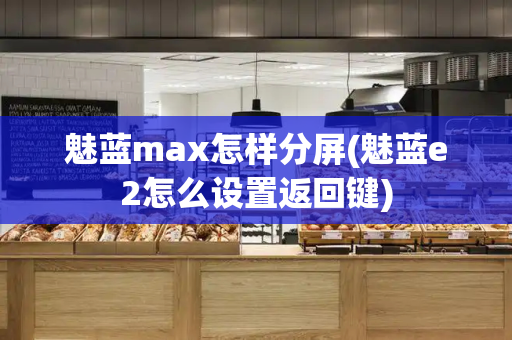 魅蓝max怎样分屏(魅蓝e2怎么设置返回键)