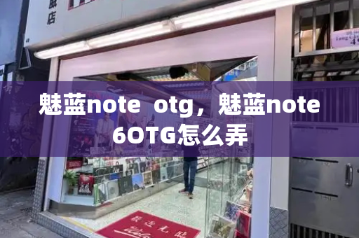 魅蓝note  otg，魅蓝note6OTG怎么弄-第1张图片-星选测评