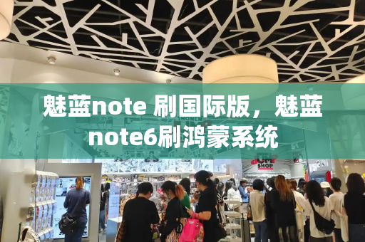 魅蓝note 刷国际版，魅蓝note6刷鸿蒙系统-第1张图片-星选测评