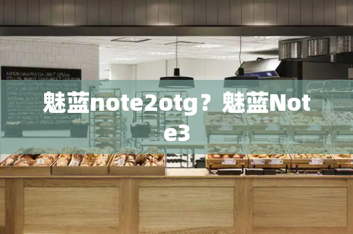 魅蓝note2otg？魅蓝Note3