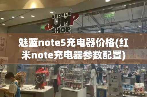 魅蓝note5充电器价格(红米note充电器参数配置)-第1张图片-星选测评